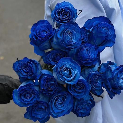 预售厄瓜多尔rose blue蓝色妖姬10支 商品图0