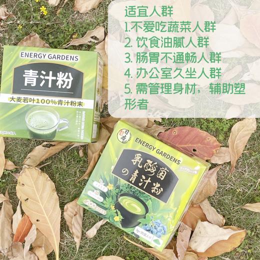 日本Energy Gardens乳酸菌青汁粉加送沐浴油旅行装 商品图2