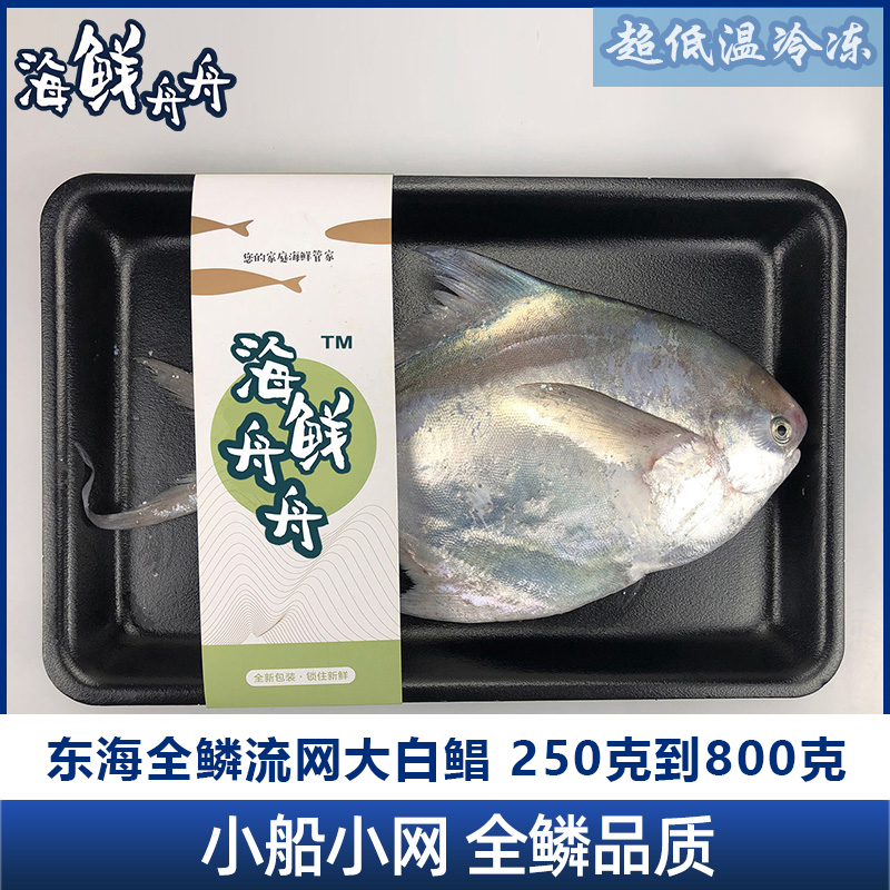 【野生】东海大白鲳 300克到450克/条