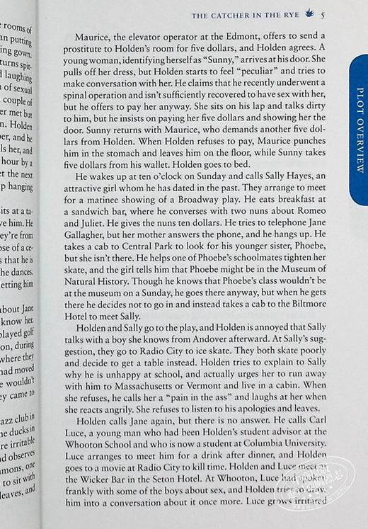 【中商原版】Sparknotes 文学指南:麦田里的守望者 The Catcher in the Rye Literature Guide 英文原版 J D Salinger 商品图6