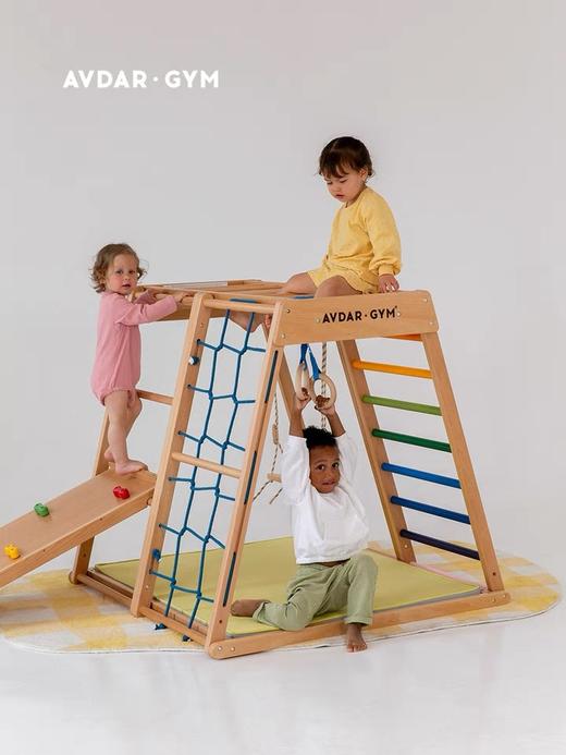 【品牌直供】AVDAR山毛榉木彩虹攀爬架 商品图1