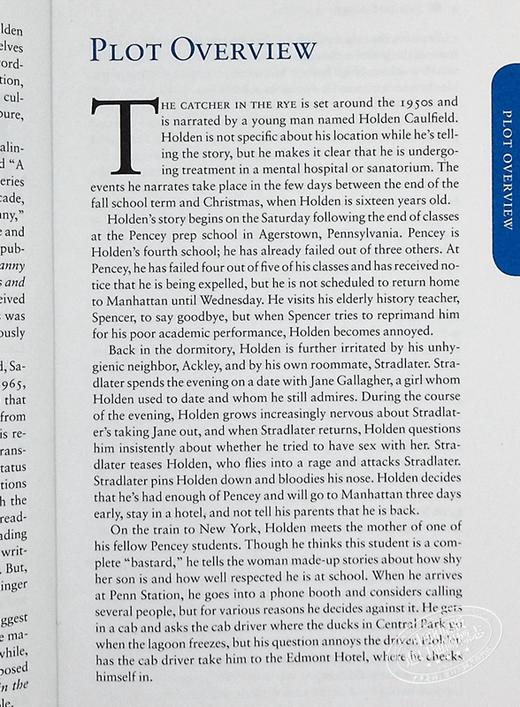 【中商原版】Sparknotes 文学指南:麦田里的守望者 The Catcher in the Rye Literature Guide 英文原版 J D Salinger 商品图5