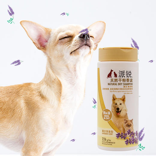 派锐薰衣草味干粉香波猫咪沐浴清洁免水洗226g狗狗 商品图3