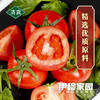 伊穆家园·优质直灌番茄酱（6罐*6斤/箱） 商品缩略图5