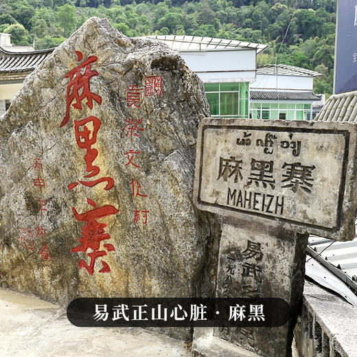 【麻黑散茶】2023年头春头采第一波春茶易武标杆性味道，500克大分量实惠装 商品图7