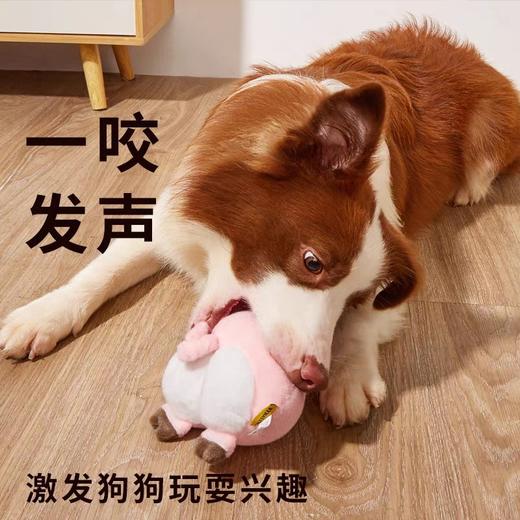 Petsville宠物玩具 商品图9