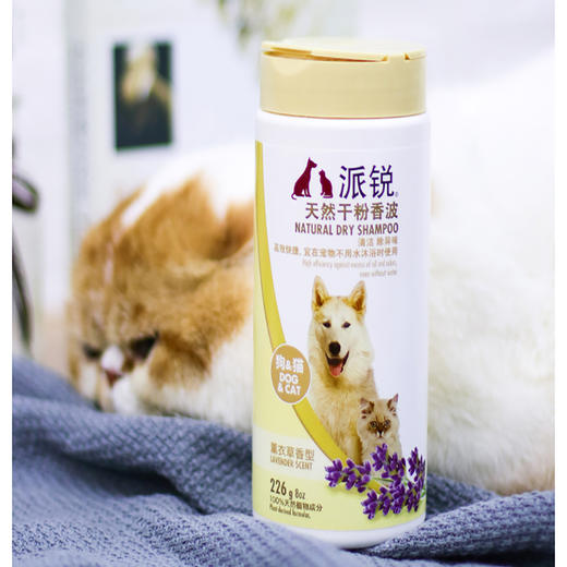 派锐薰衣草味干粉香波猫咪沐浴清洁免水洗226g狗狗 商品图4