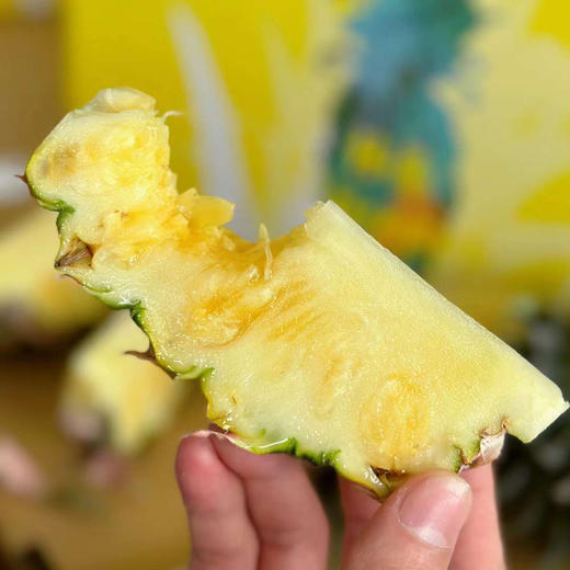 海南火焰山冬蜜凤梨顺丰快递包邮下单从三亚发货 商品图5