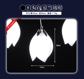 5头白玉兰吊灯