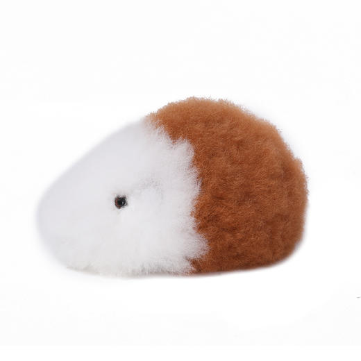 Warmpaca 小豚鼠WARCWP041 商品图0
