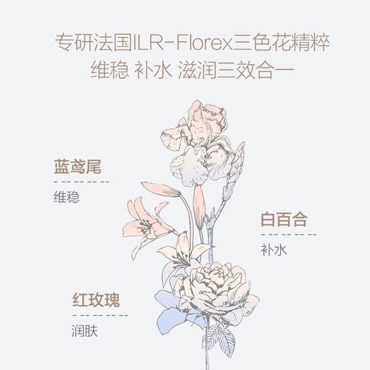 嗳乐蓓贝挚爱甄选礼盒 商品图4