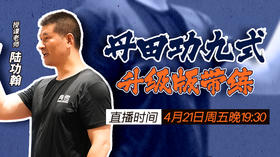 丹田功九式 升级版带练