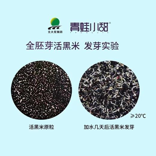 全胚芽黑米  500g*5袋/箱 商品图1