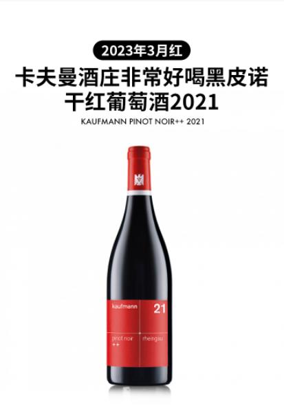 企业团购测试红酒 商品图0