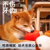 Petsville宠物玩具 商品缩略图7