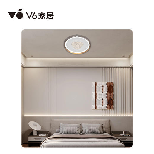 VFZ1-D027 吸顶灯 1000069024｜Vhome套餐产品 商品图0