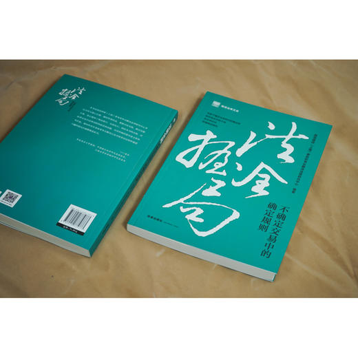 法握全局：不确定交易中的确定规则 国浩律师（上海）事务所争议解决法律研究中心编著 商品图4