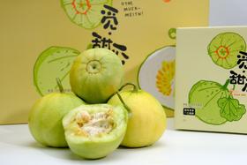 【京东包邮】马连庄生态种甜瓜（带着瓜皮更好吃），请认准“马连庄”甜瓜🍈  口感香脆甜，瓜蒂细且长基地直邮