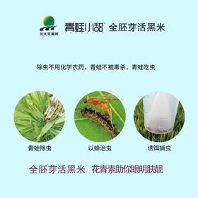 全胚芽黑米  500g*5袋/箱