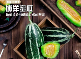 新疆吐鲁番博洋蜜瓜【10号排单发货】