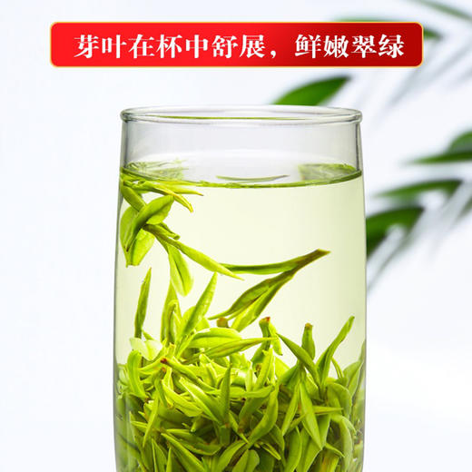 绿茶 | 【潇湘 2025年新茶】特级明前头采 石门银峰100g 商品图2