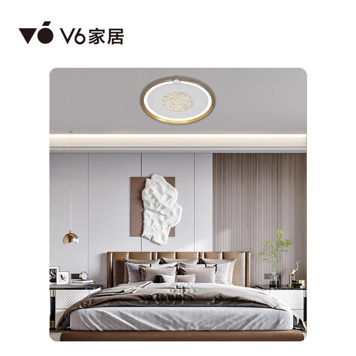 VFZ1-D027 吸顶灯 1000069023｜Vhome套餐产品 商品图0