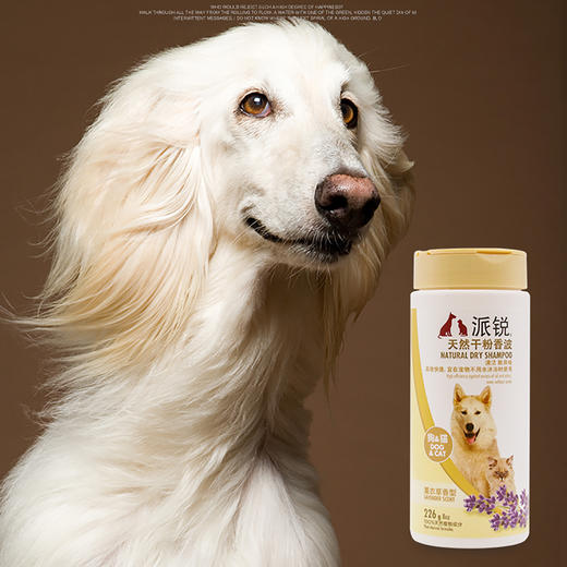 派锐薰衣草味干粉香波猫咪沐浴清洁免水洗226g狗狗 商品图2