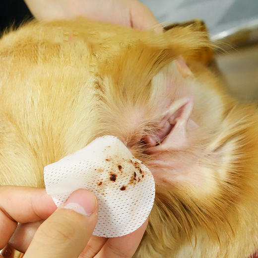 派锐宠物耳朵湿巾猫咪狗狗清洁耳朵清除耳垢杀菌除臭用品100片 商品图3