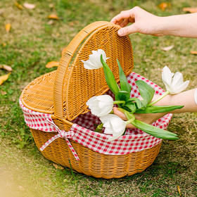 摩登主妇藤编收纳筐户外可折叠大容量手提编织购物篮水果野餐篮子