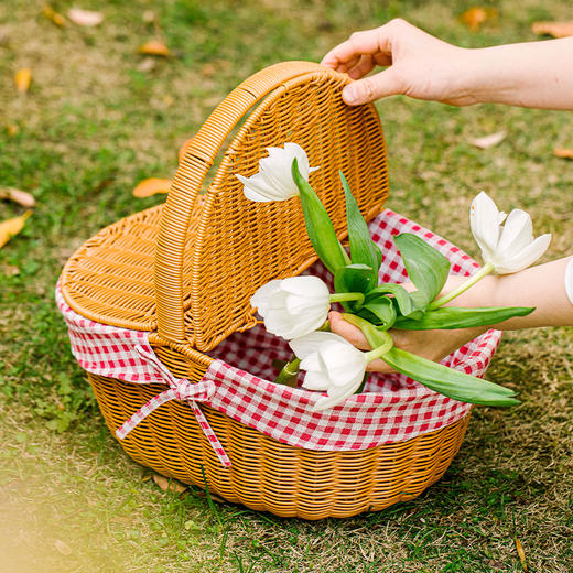 摩登主妇藤编收纳筐户外可折叠大容量手提编织购物篮水果野餐篮子 商品图0
