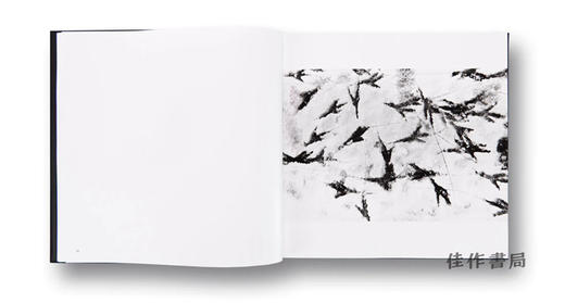 Masahisa Fukase：Ravens / 深濑昌久：鸦  商品图2