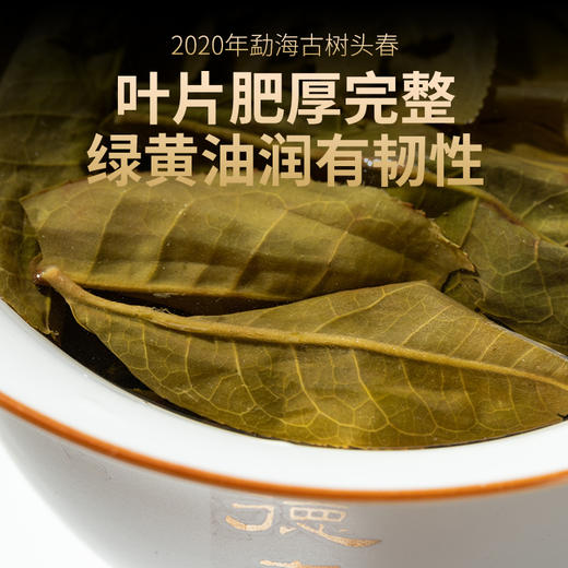 德丰昌普洱生茶2022年【御沱】100克 商品图5