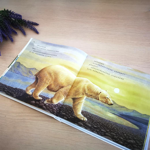 童立方 阿拉丁少年动物百科 7-14岁精装 自然与艺术的相遇，以多角度观察动物 商品图4