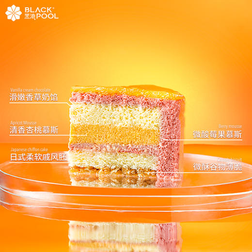 （预约验券专用）日照金山·杏桃香草莓果慕斯 验券不成功不发货，选择款式，备注平台+券码，下单支付0.01元即可 商品图4