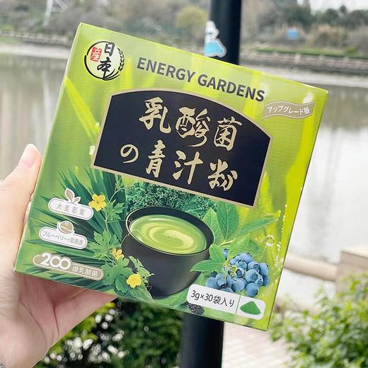 日本Energy Gardens乳酸菌青汁粉加送沐浴油旅行装 商品图0