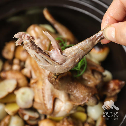 生态鹌鹑（临期8折）| 绿家自产* Eco- quail  | Self-production 商品图4