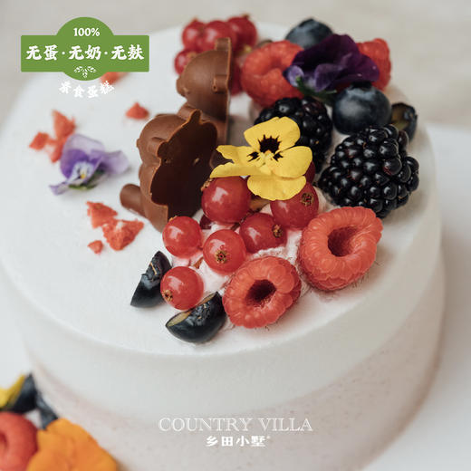 素食蛋糕（无奶无蛋无麸） 商品图3