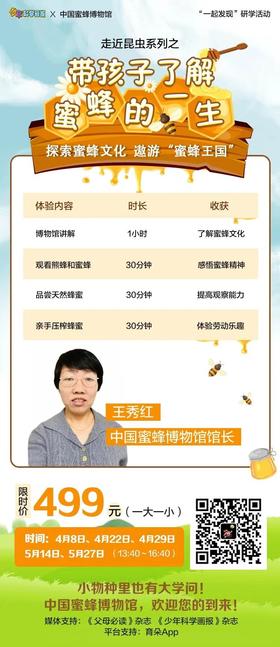 【研学】昆虫系列 带孩子了解蜜蜂的一生