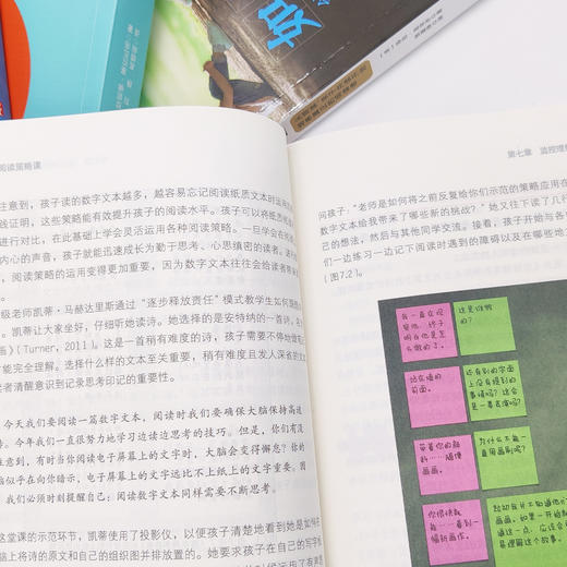 “阅读技能”丛书（共4册）：《如何阅读能让孩子受益一生：从朗读、亲子共读开始培养真正的阅读者》《阅读的7项核心技能》《美国学生阅读技能训练：第2版》《上好一堂阅读课：第3版》 商品图5