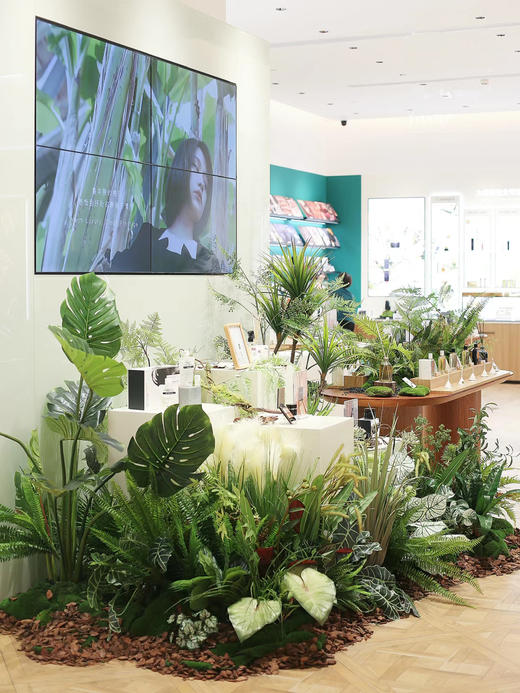 空间造景咨询 商品图0