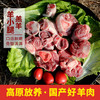【3份包邮】羊小腿    高原放养羔羊肉  新鲜带骨羊小腿肉  500g 商品缩略图3