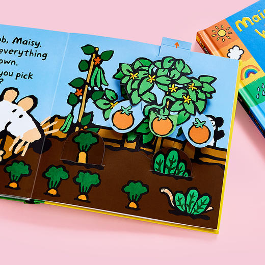 【英文原版】小彼恩小鼠波波第一套科普立体书 5册 英文原版 点读版A Maisy First Science Book 商品图2