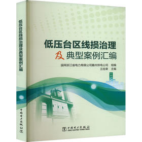 低压台区线损治理及典型案例汇编