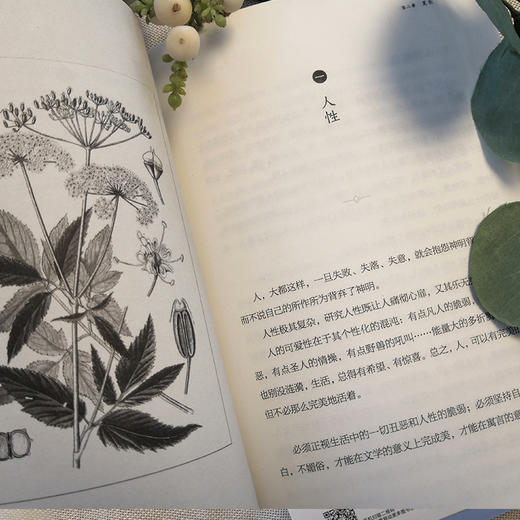 【正版】生命沉思录 3 人生的四季风景 曲黎敏 上海文艺出版社 正版书籍 商品图3