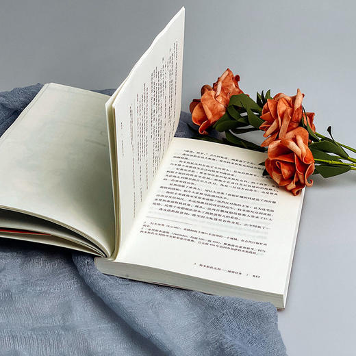 太阳的女儿 青少年读物 虚构历史小说 走进古希腊文明 商品图6