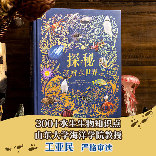 DK典藏博物馆（2023年精美书匣版）（全5册） 商品图4