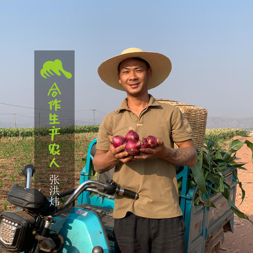 生态紫皮洋葱 | 合作生产* Eco-purple onion | Partner Production 商品图3