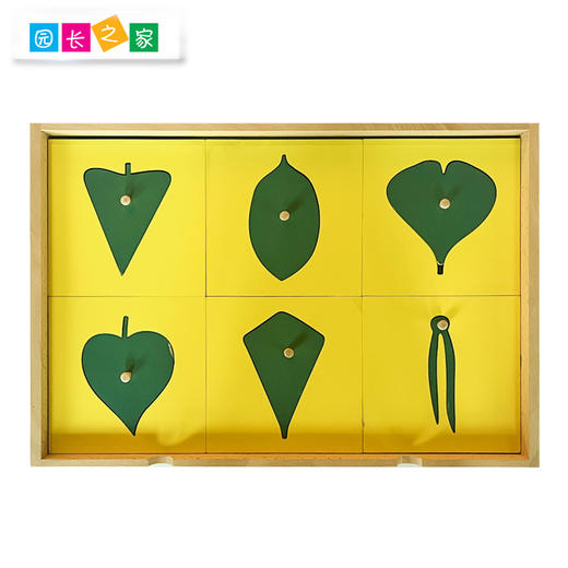 蒙氏树叶嵌板柜叶形嵌板橱科学文化教具蒙特蒙台梭利教具早教益智 商品图3