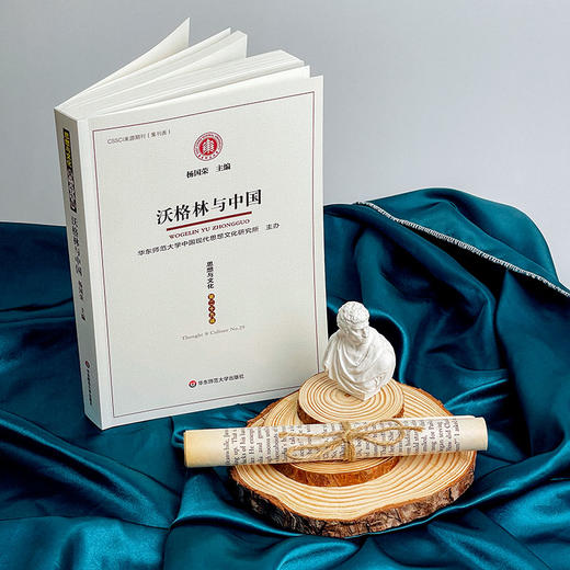 沃格林与中国 《思想与文化》第二十九辑 杨国荣 商品图2