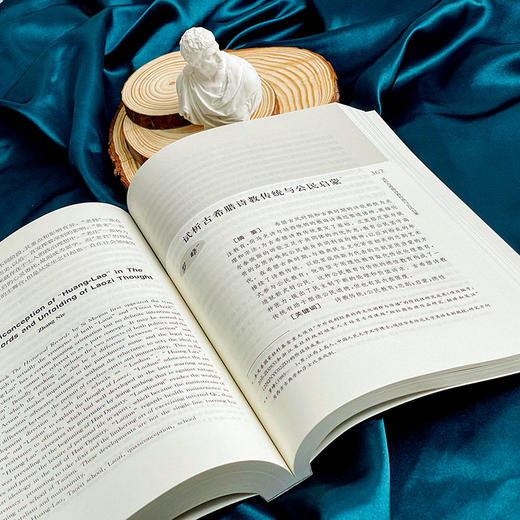 沃格林与中国 《思想与文化》第二十九辑 杨国荣 商品图7